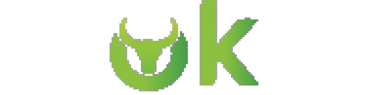 Stokzy Logo